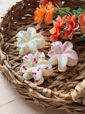 Plumeria Hair Clip