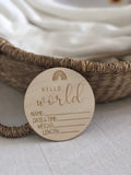 Hello World Birth Plaque / Rainbow