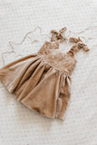 Snowflake Velvet Dress