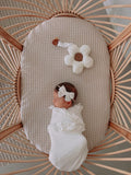Teddy Daisy - Marshmallow