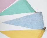 Rainbow Bunting